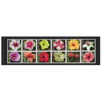 Norfolk Island 2005 Hibiscus Varieties/Flowers Set of 12 Stamps MUH SG928/39