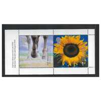 Great Britain 2000 Millennium Projects 7th Series Horse's Hooves Booklet Pane of 2 Stamps SG2153a MUH
