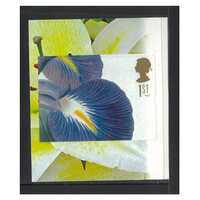 Great Britain 2009 50th Anniversary of NAFAS/Iris Latifolia Self-adhesive Stamp SG2942 MUH 