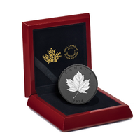 Canada 2024 $50 Maple Leaves in Motion  Fine Silver 5oz Proof Coin