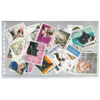 Cats - 50 Different Stamps Used/CTO
