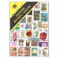 Flowers (Window Display Packet) - 50 Different