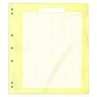 Standard Blank Leaves/Pages for Stamps 250x280mm W/ Boarder & Grid Graph Pack of 50