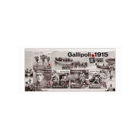 Australia 2015 (906) Centenary of WWI Gallipoli mini sheet SG MS4355