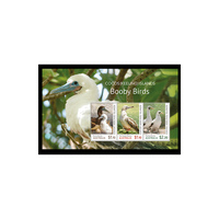Cocos (Keeling) Islands 2020 Booby Birds Miniature Sheet of 3 Stamps MUH