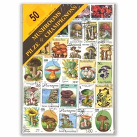 50 Different Thematic Stamps In Window Display Packet All Used Available In Various Topics
