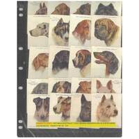 Wills (Australia) Cigarette Cards 1927 Set/20 - Dogs Mainly Fine VG #DS2-15