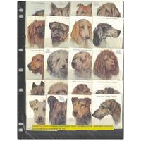 Wills (Australia) Cigarette Cards 1928 Set/20 - Dogs 2nd Series VG #DS2-16