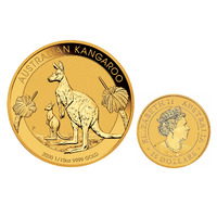 Australia 2020 Perth Mint Kangaroo 1/10oz Fine Gold $15 UNC Coin in Capsule