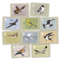 Great Britain 2022 Migratory Birds Set of 10 Postcards