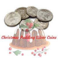 Christmas Pudding Coin Pack