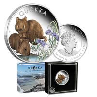 Australia Quokka 2023 $1 1oz Coloured Silver Proof Coin