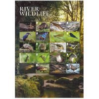 Great Britain 2023 River Wildlife (birds, fish, mammals and insects) A4 Sheet/10 Stamps MUH