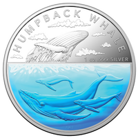 Australia 2023 Australian Antarctic Territory – Humpback Whale $5 1oz Coloured Silver Proof Coin