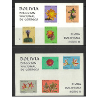 Bolivia 1971 Flowers 2 Mini Sheets Scott 537a/b (light creases at top) MUH 32-20