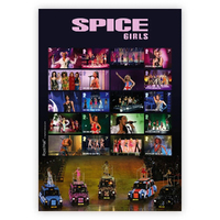 Great Britain 2024 Celebrating 30 Years of the Spice Girls Collectors Sheet Stamps