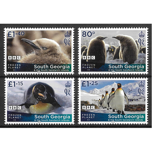 South Georgia & South Sandwich Islands 2023 Life on Frozen Planet II Set/4 Stamps MUH