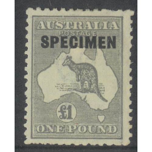 Australia Kangaroo Stamp 3rd WMK £1 Grey ovp Specimen SG75s MLH #AUBK
