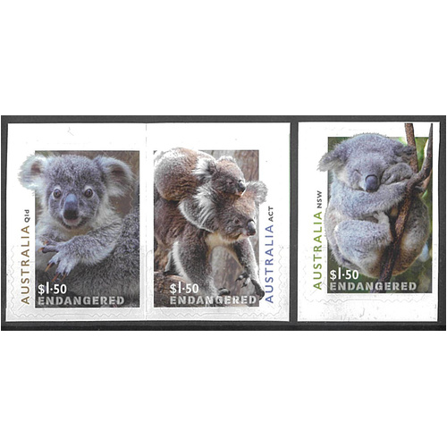 Australia 2024 Koalas in Danger Set of 3 Self-adhesive Stamps MUH