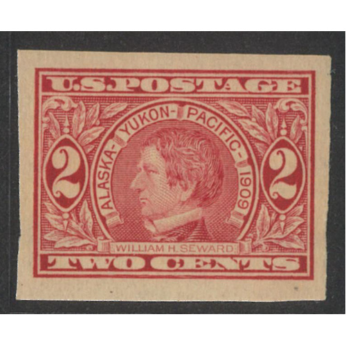 USA 1909 Alaska-Yukon 2c Imperf Stamp Scott 371 Mint Unhinged #BK99