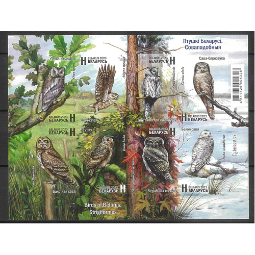 Belarus 2023 Owls - Birds of Belarus Imperforated Mini Sheet MUH