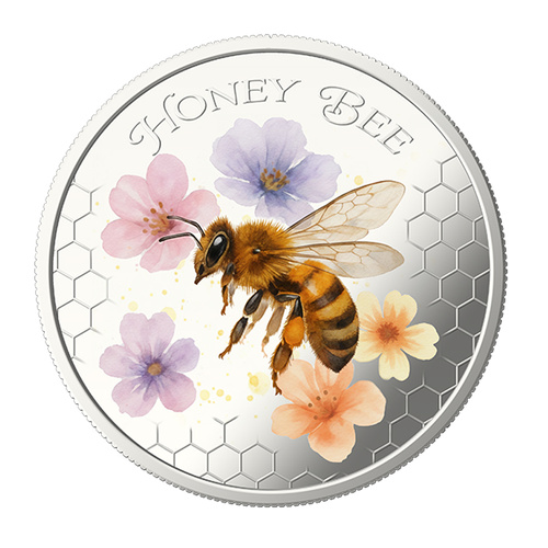 Solomon Islands 2026 50c Water Colour Series – Honey Bee BU Commemorative Coin Card